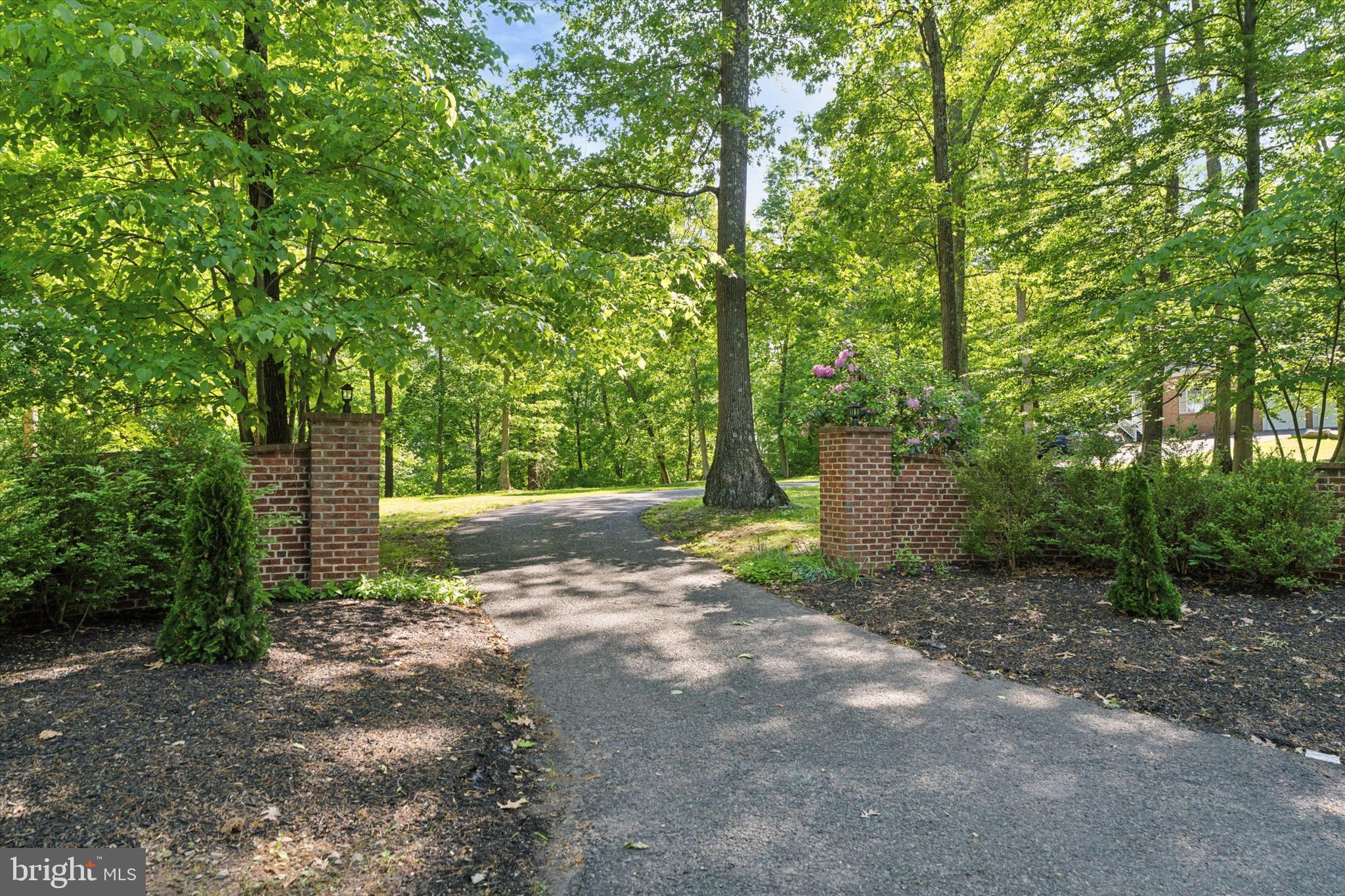 2824 Hill Road Green Lane, PA 18054 - Photo 32 of 40 a view of a yard with plants and trees