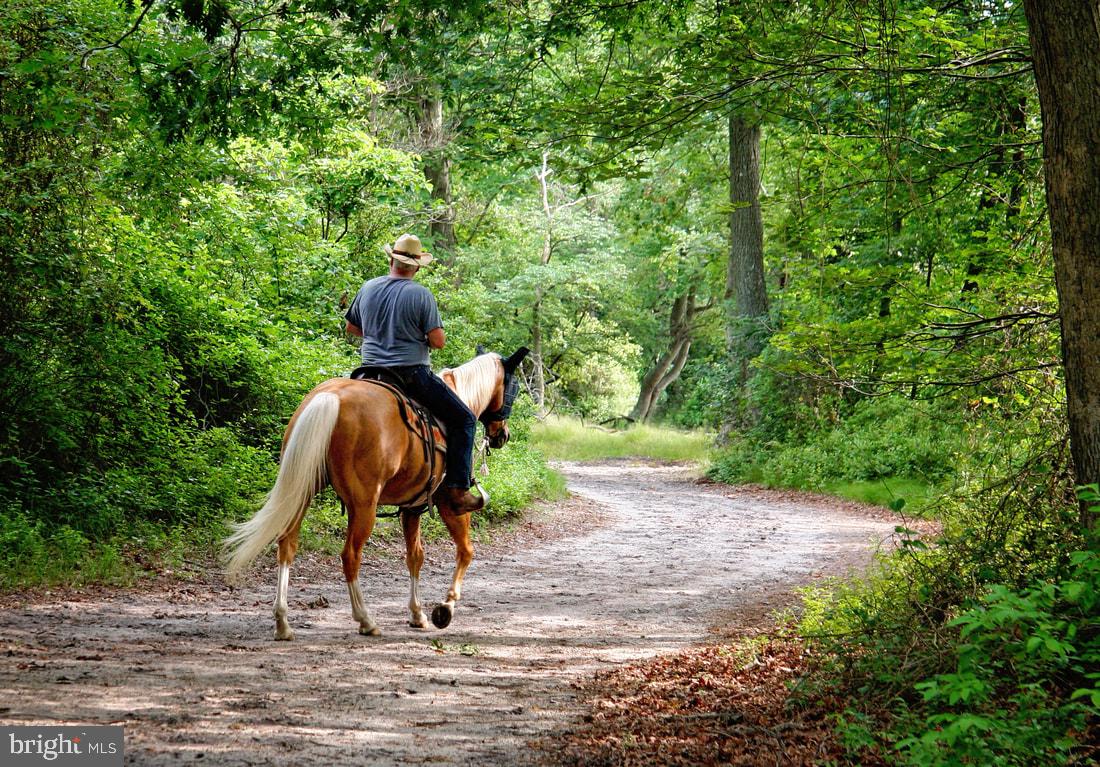 2824 Hill Road Green Lane, PA 18054 - Photo 35 of 40 a view of swimming pool with a yard