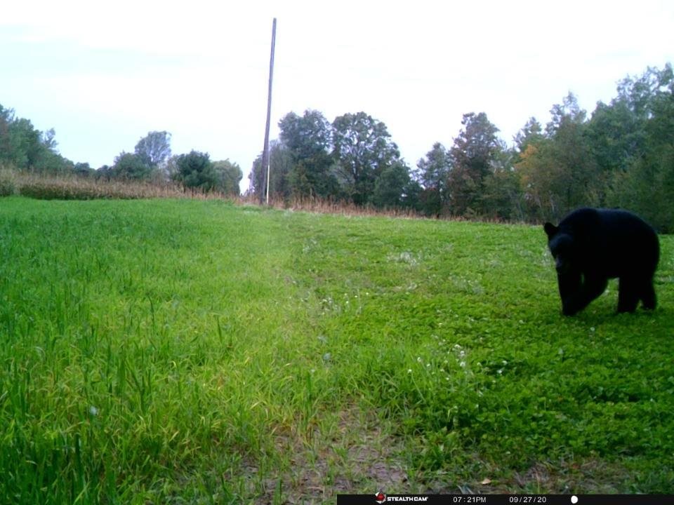 Tbd West Herrick Road Farwell, MI 48622 - Photo 2 of 7