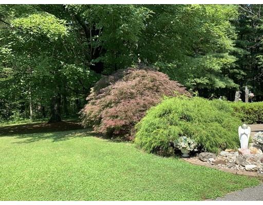557 Southbridge Road Warren, MA 01585 - Photo 25 of 30 a view of a yard with plants and a trees