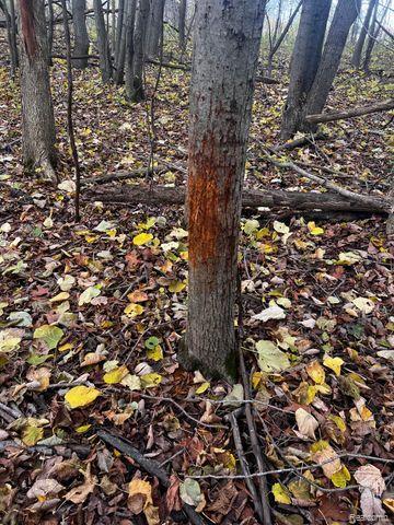 Lot 1 East Clyde Road Howell, MI 48855 - Photo 25 of 29