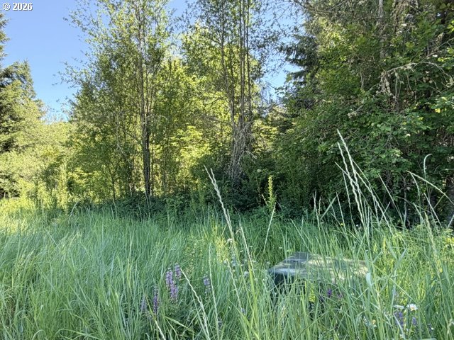 Snowden Road White Salmon, WA 98672 - Photo 21 of 26