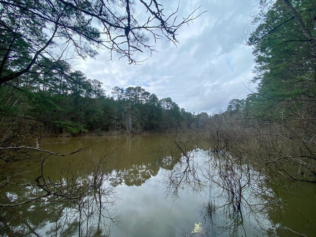0 Atkinson Road Ruth, MS 39662 - Photo 25 of 30 Photo 25