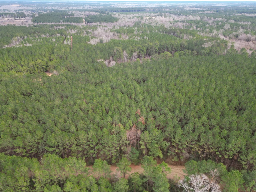 0 Atkinson Road Ruth, MS 39662 - Photo 8 of 30 Photo 8