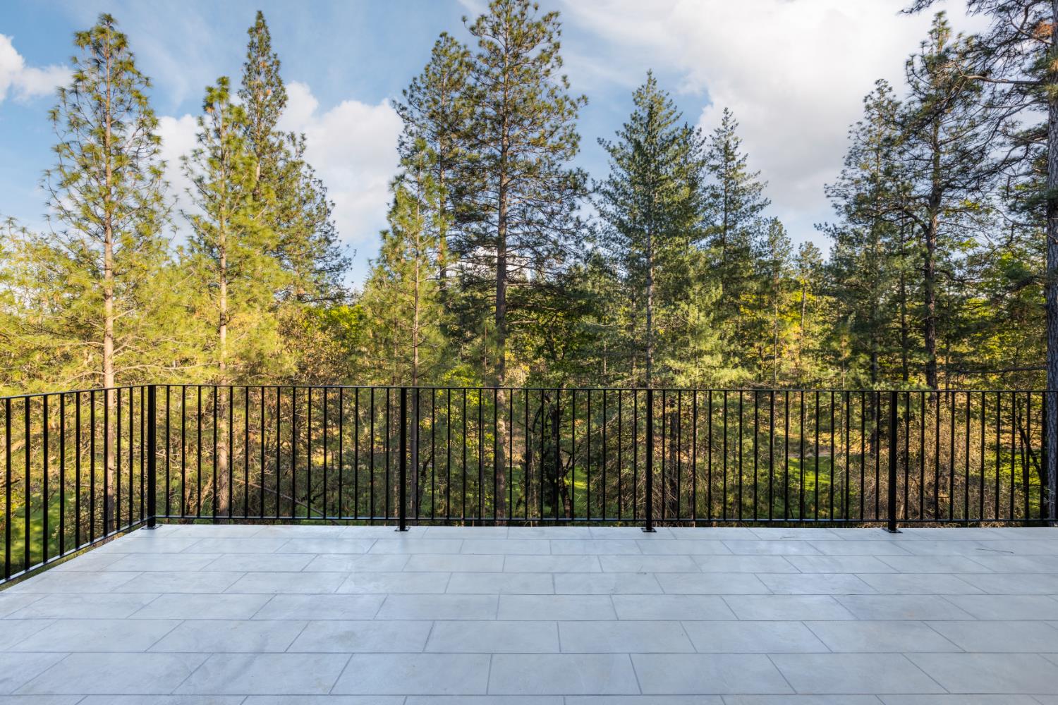 1632 The Point Meadow Vista, CA 95722 - Photo 6 of 55