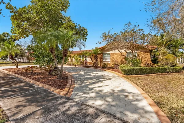 a view of backyard of the house