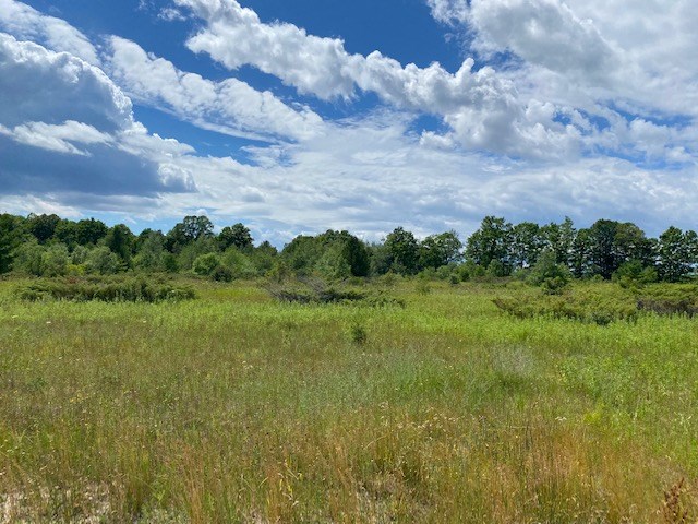Wild Nest Road Fish Creek, WI 54212 - Photo 11 of 13