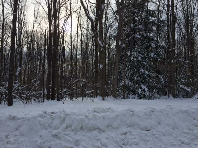 Tbd Robin Hill Road Russell, PA 16345 - Photo 1 of 1 Gallery Image 1