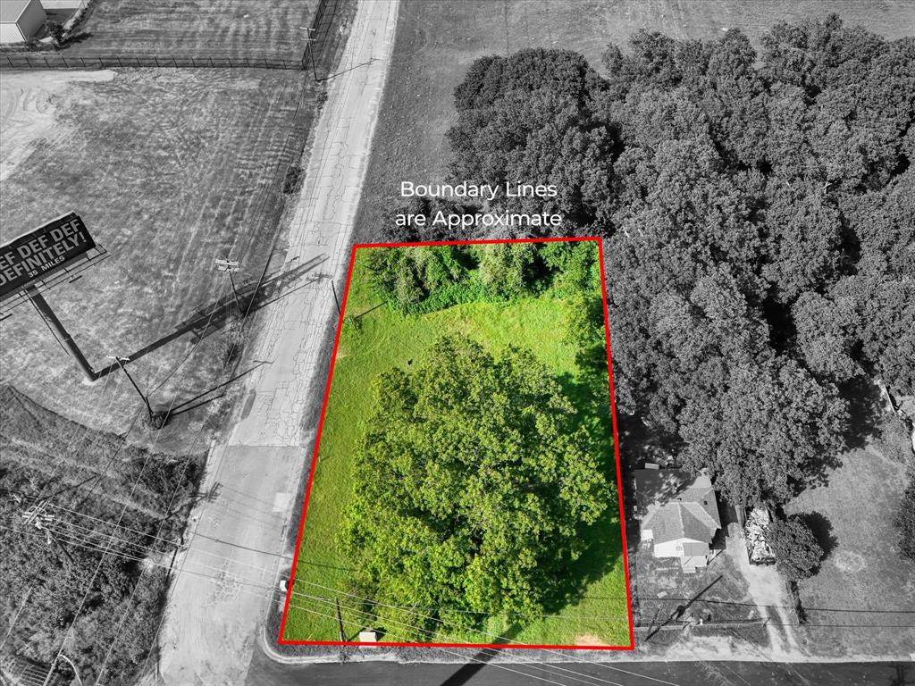 a view of a garden with plants