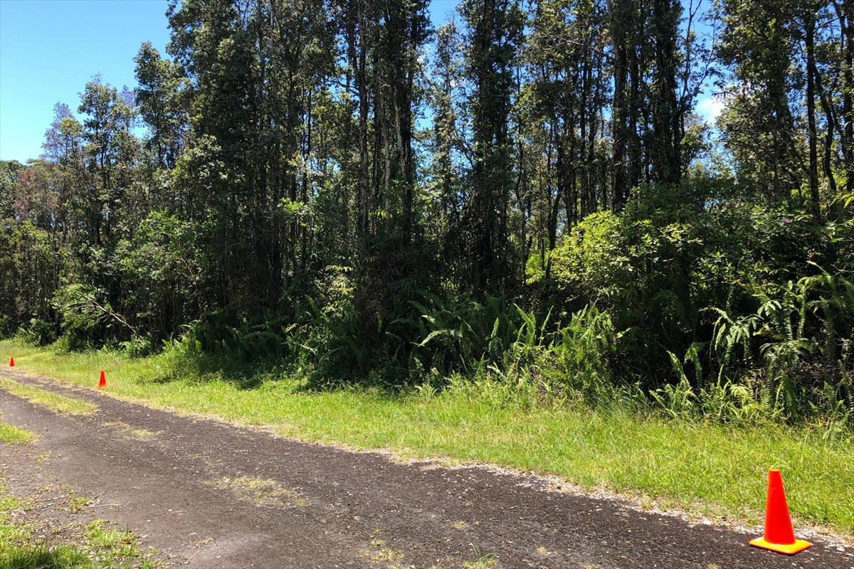 398 Kailua Road Pahoa, HI 96778 - Photo 11 of 23 Gallery Image 11