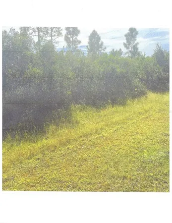 $15,000 | 422 Portulaca Drive, Indian Lake Estates, FL 33855