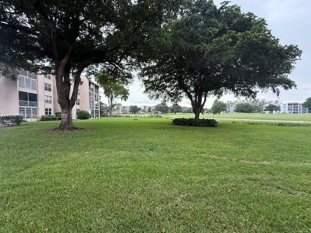 a view of a tree in front of a house