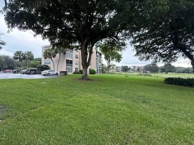a view of a park with large trees