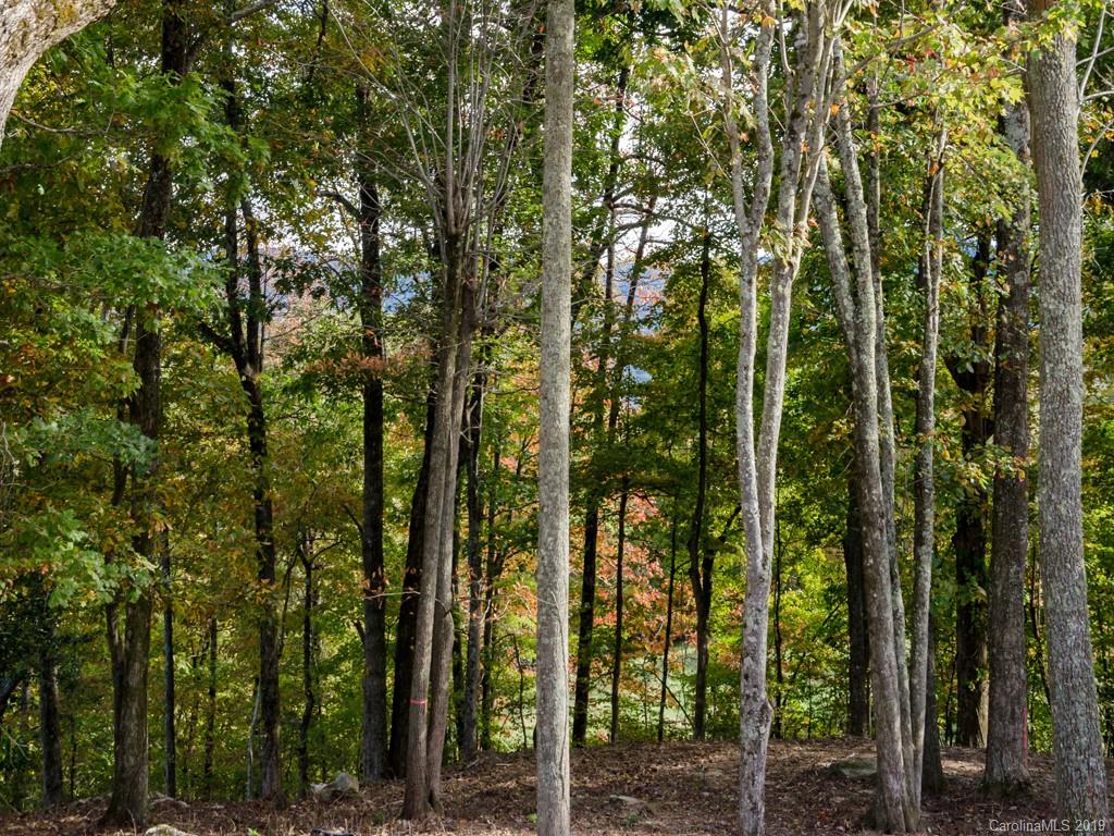 505 Monarch Road Hendersonville, NC 28739 - Photo 10 of 25 Gallery Image 10