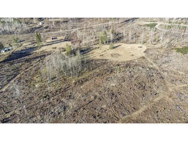 $219,000 | 91747 Old Scout Road, Blue River, OR 97413