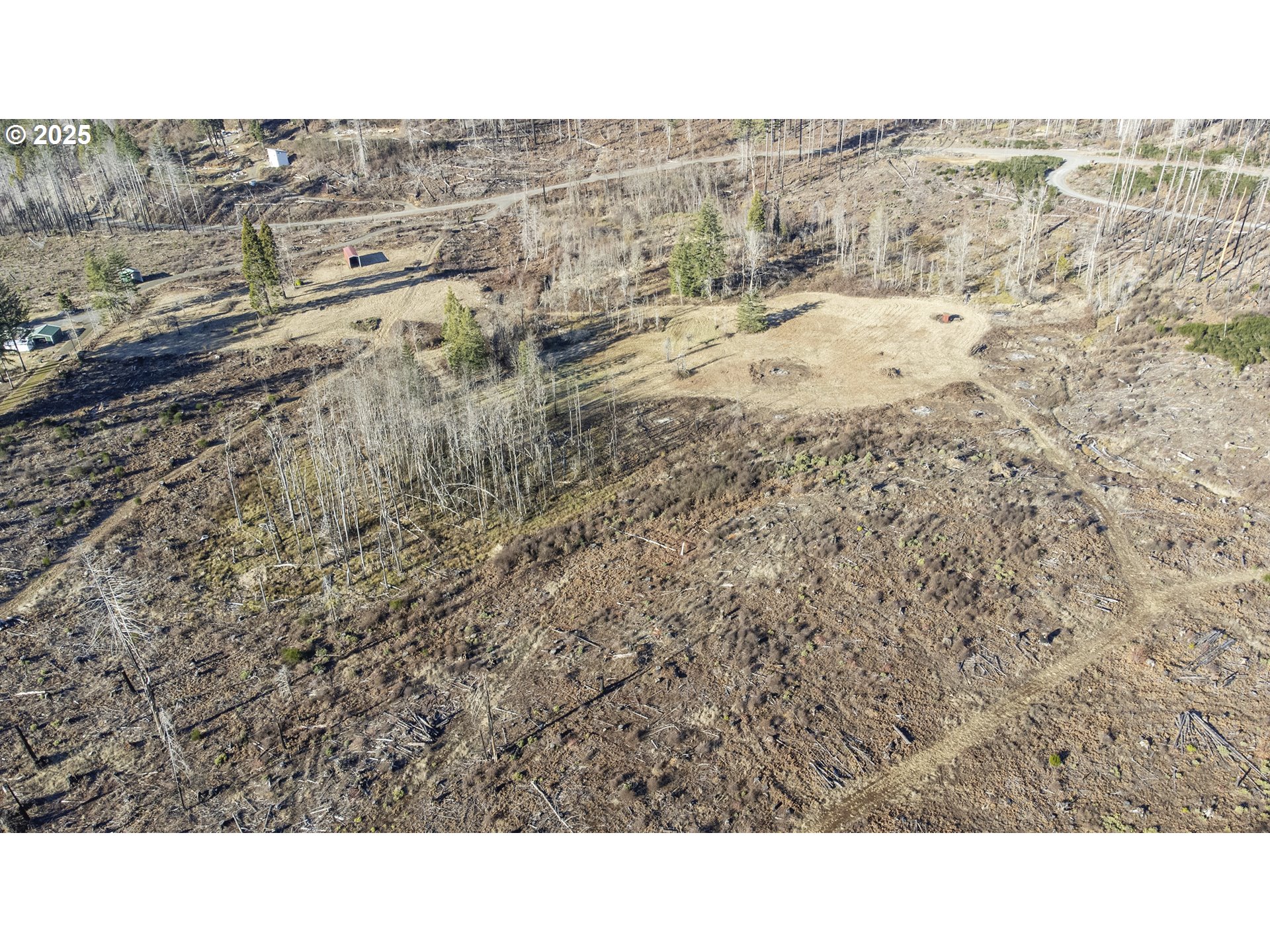 91747 Old Scout Road Blue River, OR 97413 - Photo 11 of 16