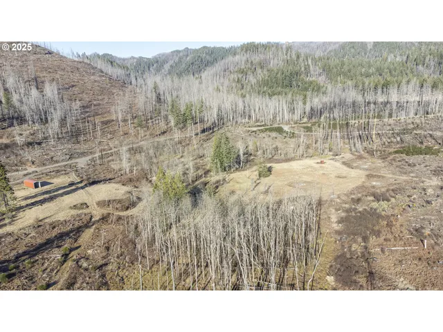 $219,000 | 91747 Old Scout Road, Blue River, OR 97413