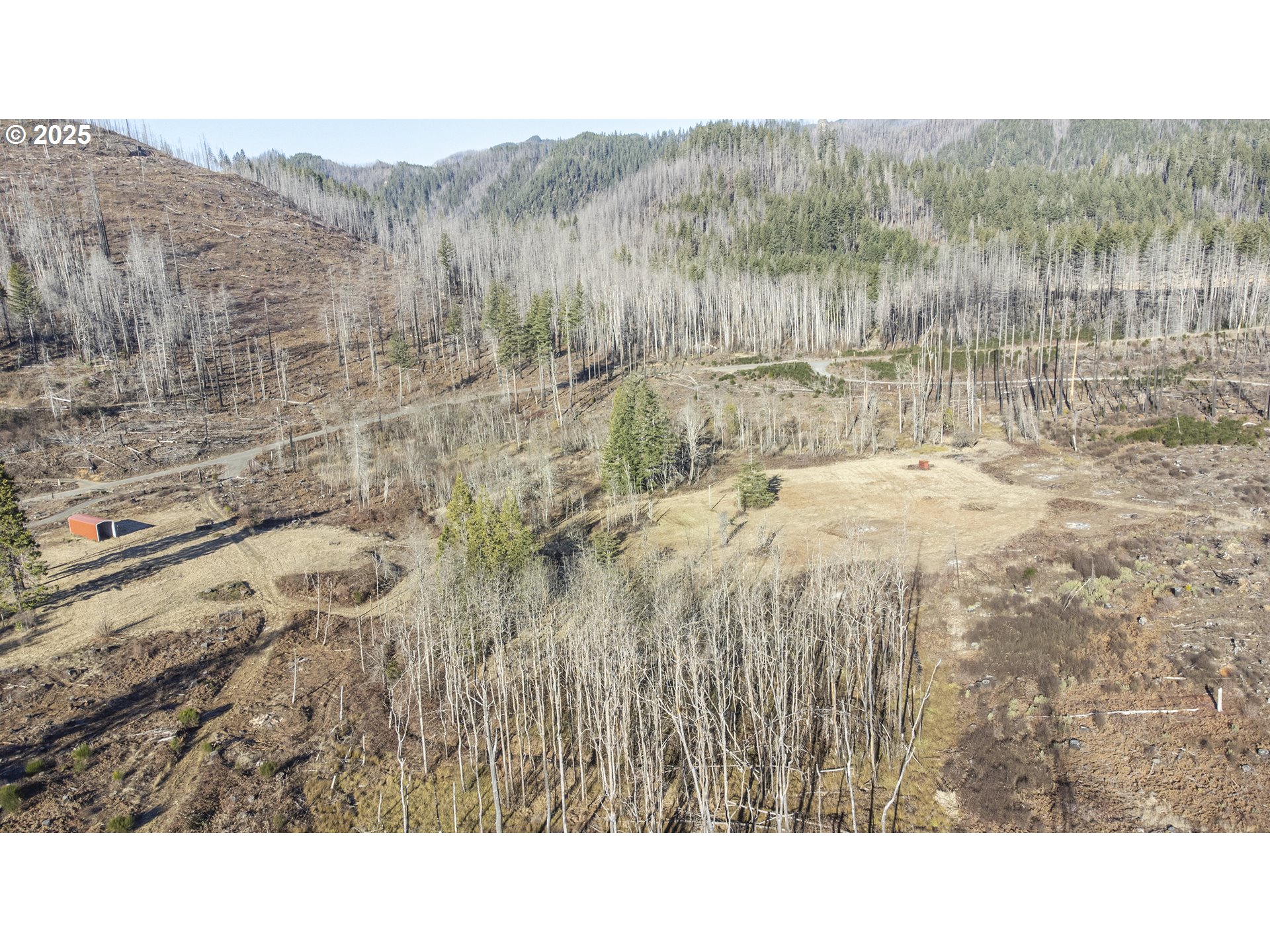 91747 Old Scout Road Blue River, OR 97413 - Photo 12 of 16