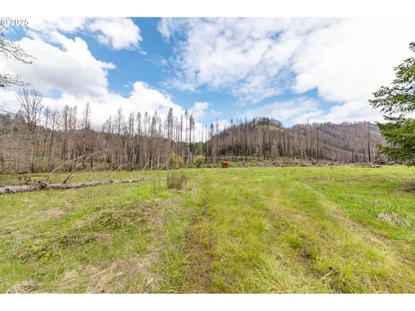 $219,000 | 91747 Old Scout Road, Blue River, OR 97413