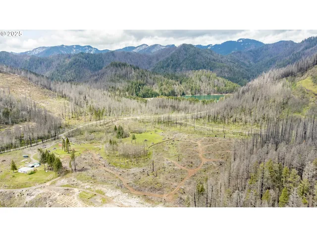 $219,000 | 91747 Old Scout Road, Blue River, OR 97413