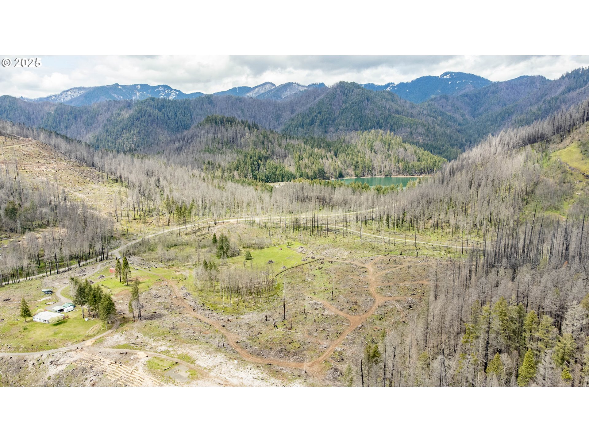 91747 Old Scout Road Blue River, OR 97413 - Photo 15 of 16