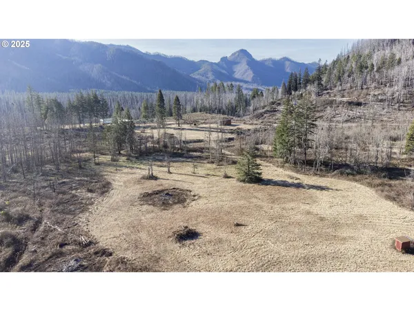 $219,000 | 91747 Old Scout Road, Blue River, OR 97413