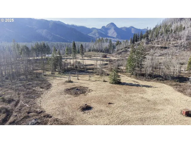$219,000 | 91747 Old Scout Road, Blue River, OR 97413