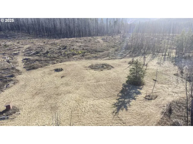$219,000 | 91747 Old Scout Road, Blue River, OR 97413