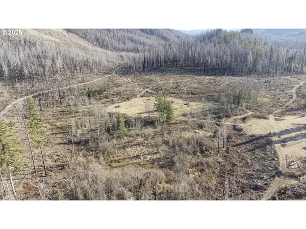 $219,000 | 91747 Old Scout Road, Blue River, OR 97413