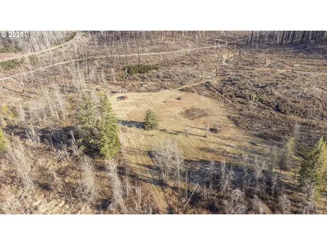 $219,000 | 91747 Old Scout Road, Blue River, OR 97413