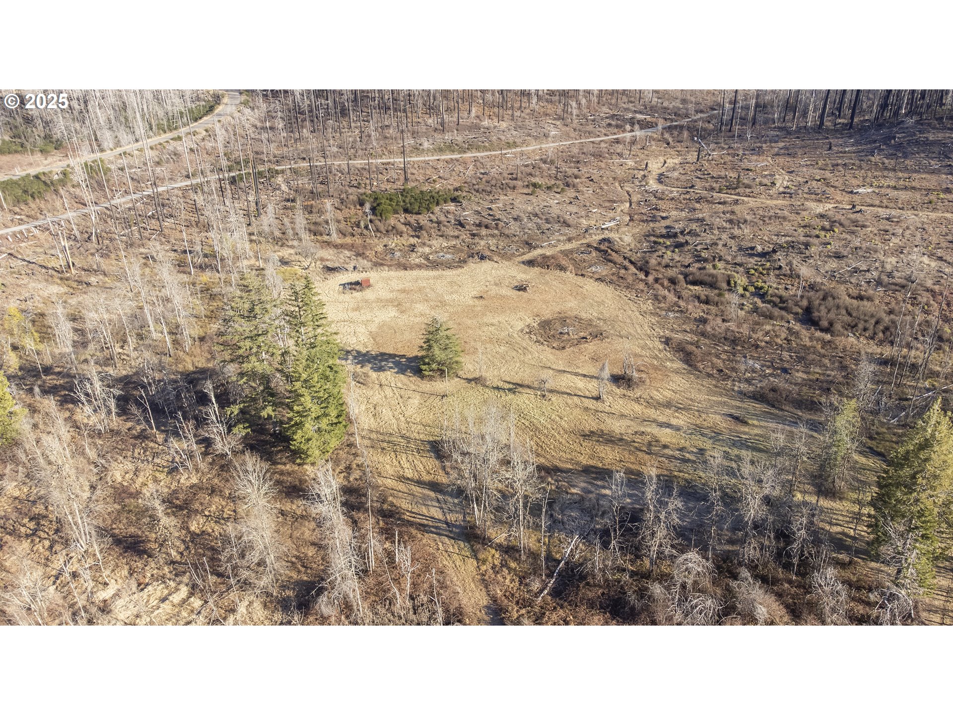 91747 Old Scout Road Blue River, OR 97413 - Photo 5 of 16