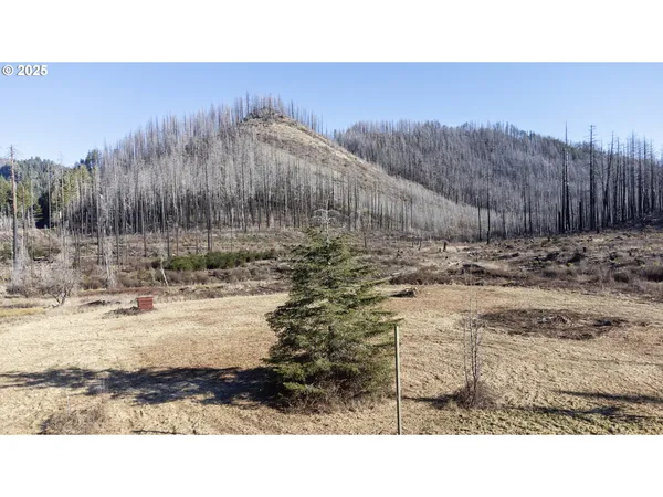 $219,000 | 91747 Old Scout Road, Blue River, OR 97413