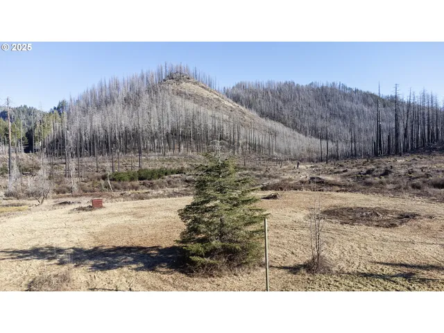 $219,000 | 91747 Old Scout Road, Blue River, OR 97413
