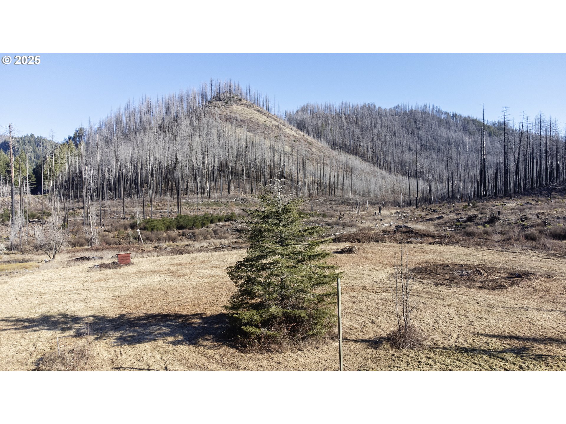 91747 Old Scout Road Blue River, OR 97413 - Photo 6 of 16