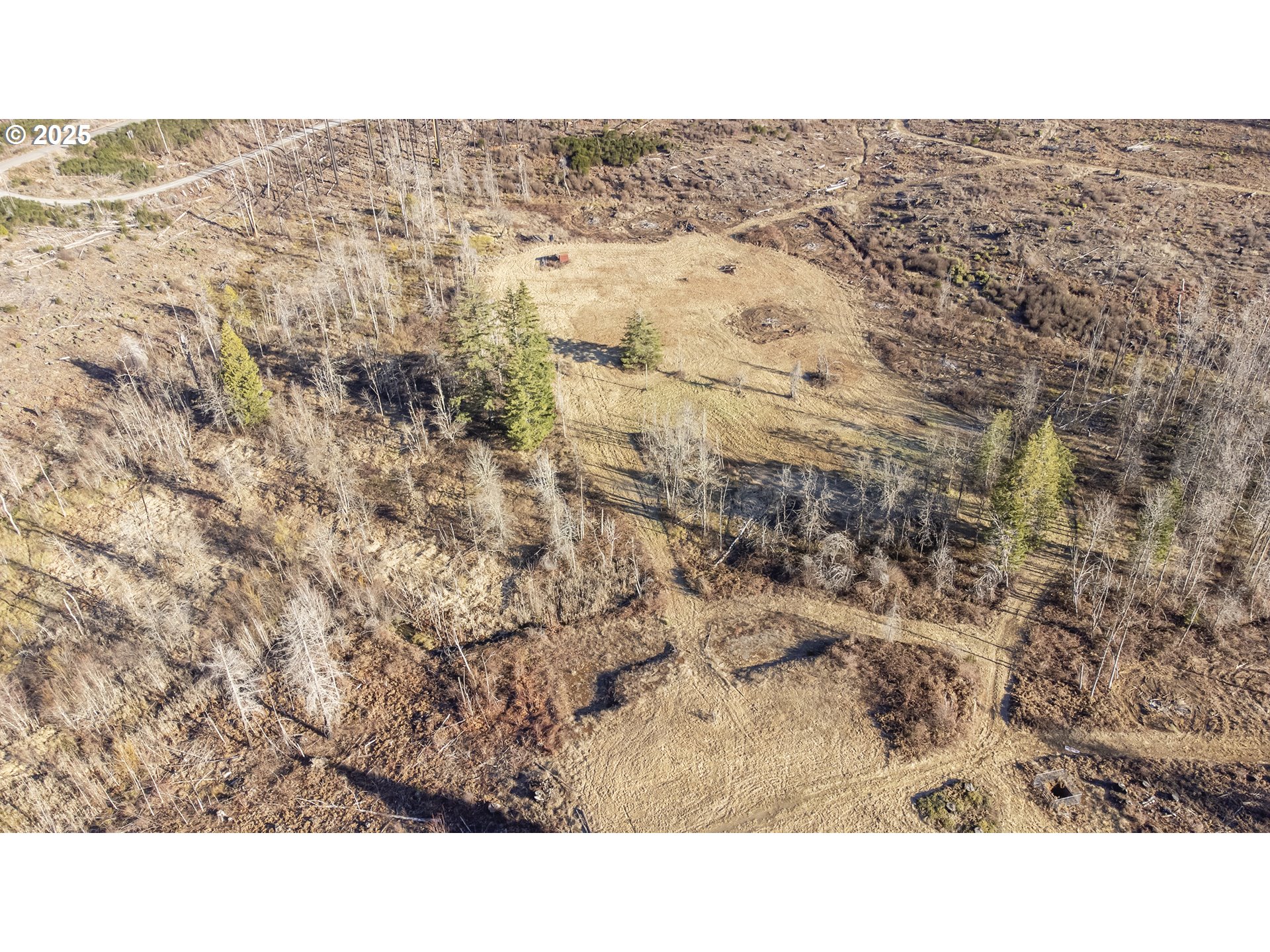 91747 Old Scout Road Blue River, OR 97413 - Photo 7 of 16