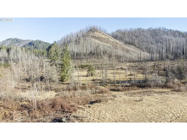 $219,000 | 91747 Old Scout Road, Blue River, OR 97413