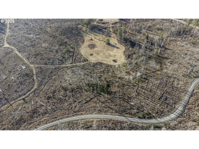 $219,000 | 91747 Old Scout Road, Blue River, OR 97413