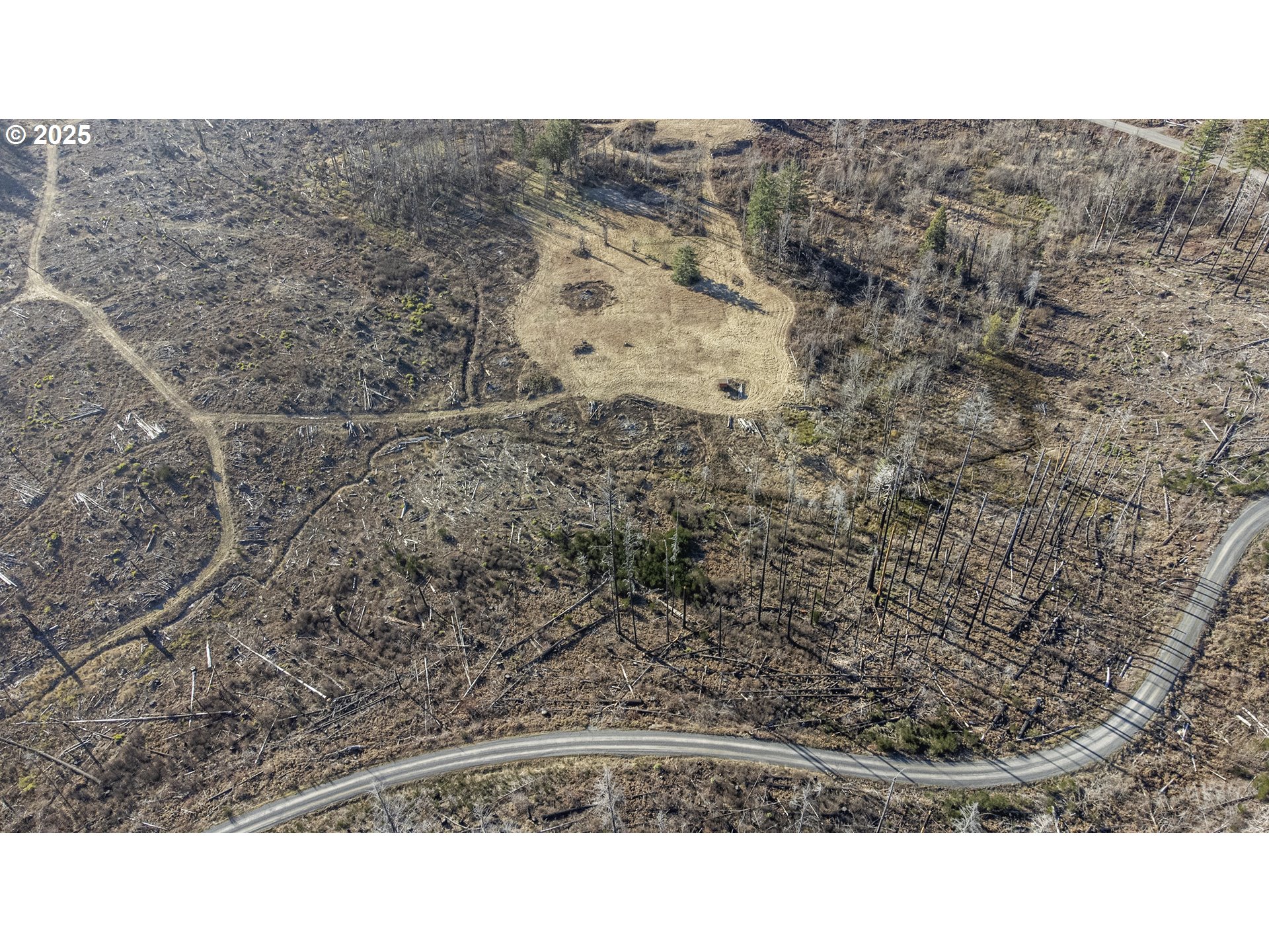 91747 Old Scout Road Blue River, OR 97413 - Photo 10 of 16