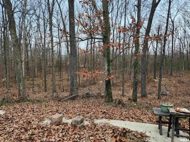 $85,000 | 3547 Highway 148, Waltonville, IL 62894