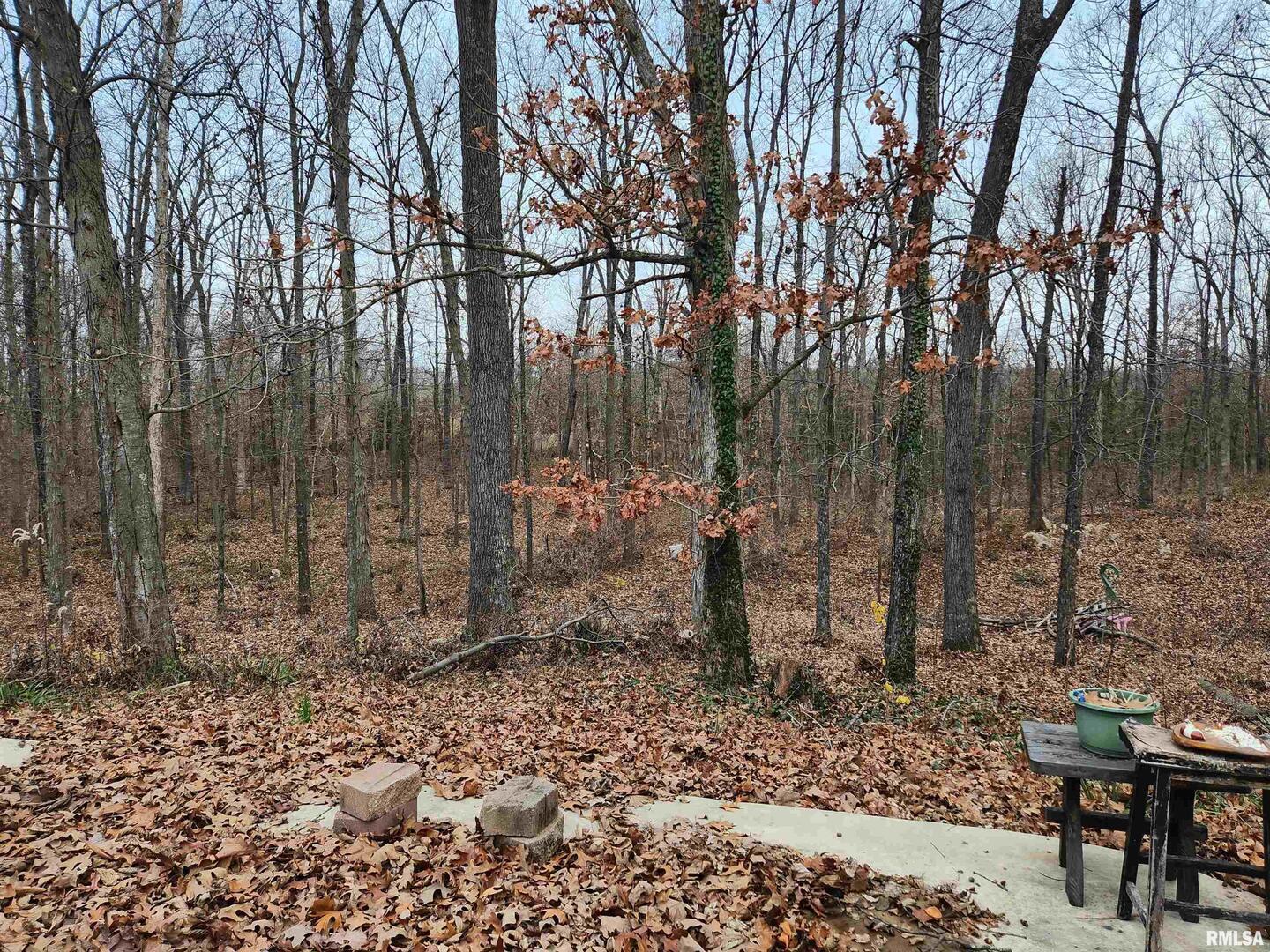 3547 Highway 148 Waltonville, IL 62894 - Photo 25 of 29 a backyard of a house with lots of green space