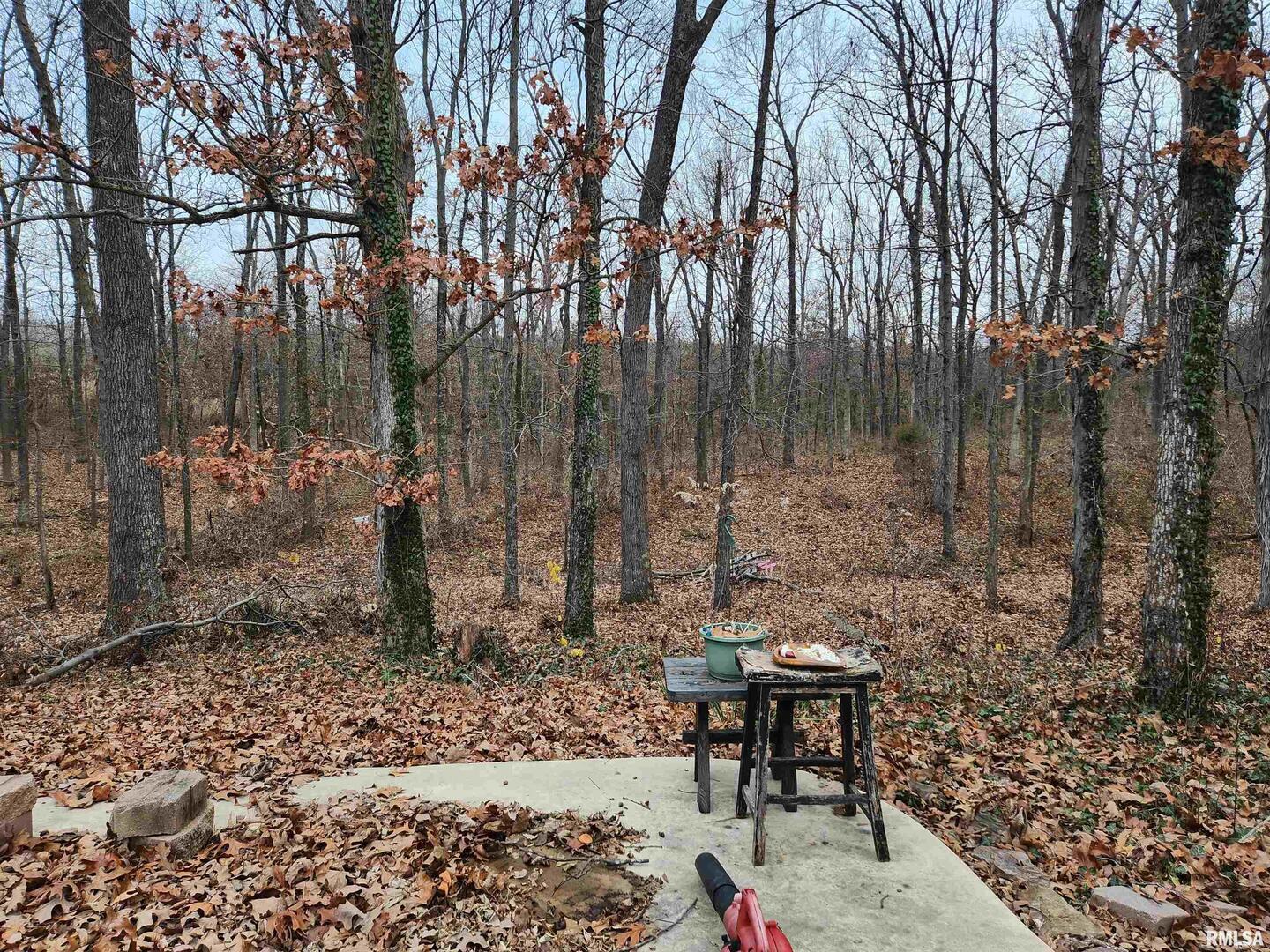 3547 Highway 148 Waltonville, IL 62894 - Photo 26 of 29 a backyard of a house with table and chairs