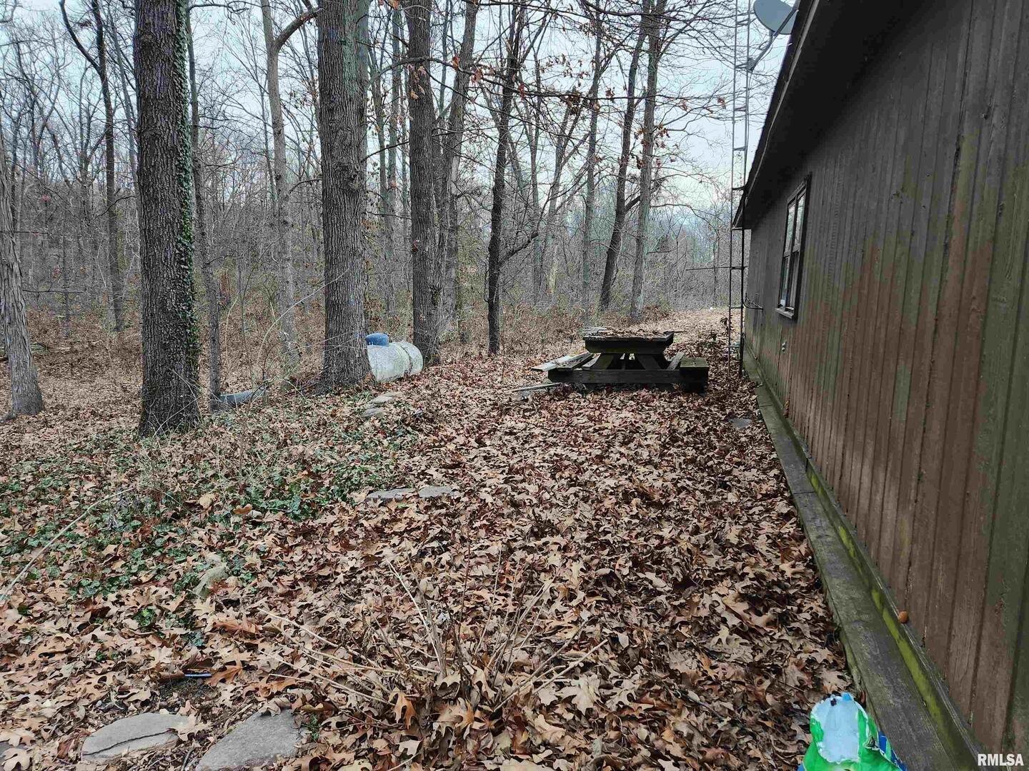 3547 Highway 148 Waltonville, IL 62894 - Photo 28 of 29 a view of a backyard with pathway
