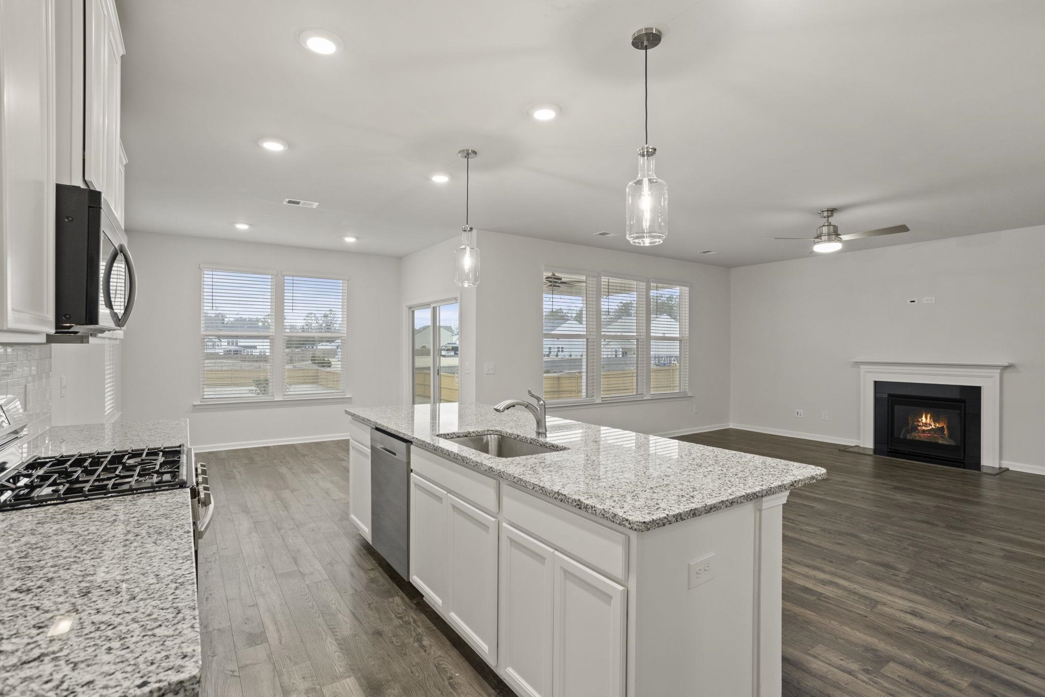 144 Silver Hl Lane Greenville, SC 29607 - Photo 6 of 36