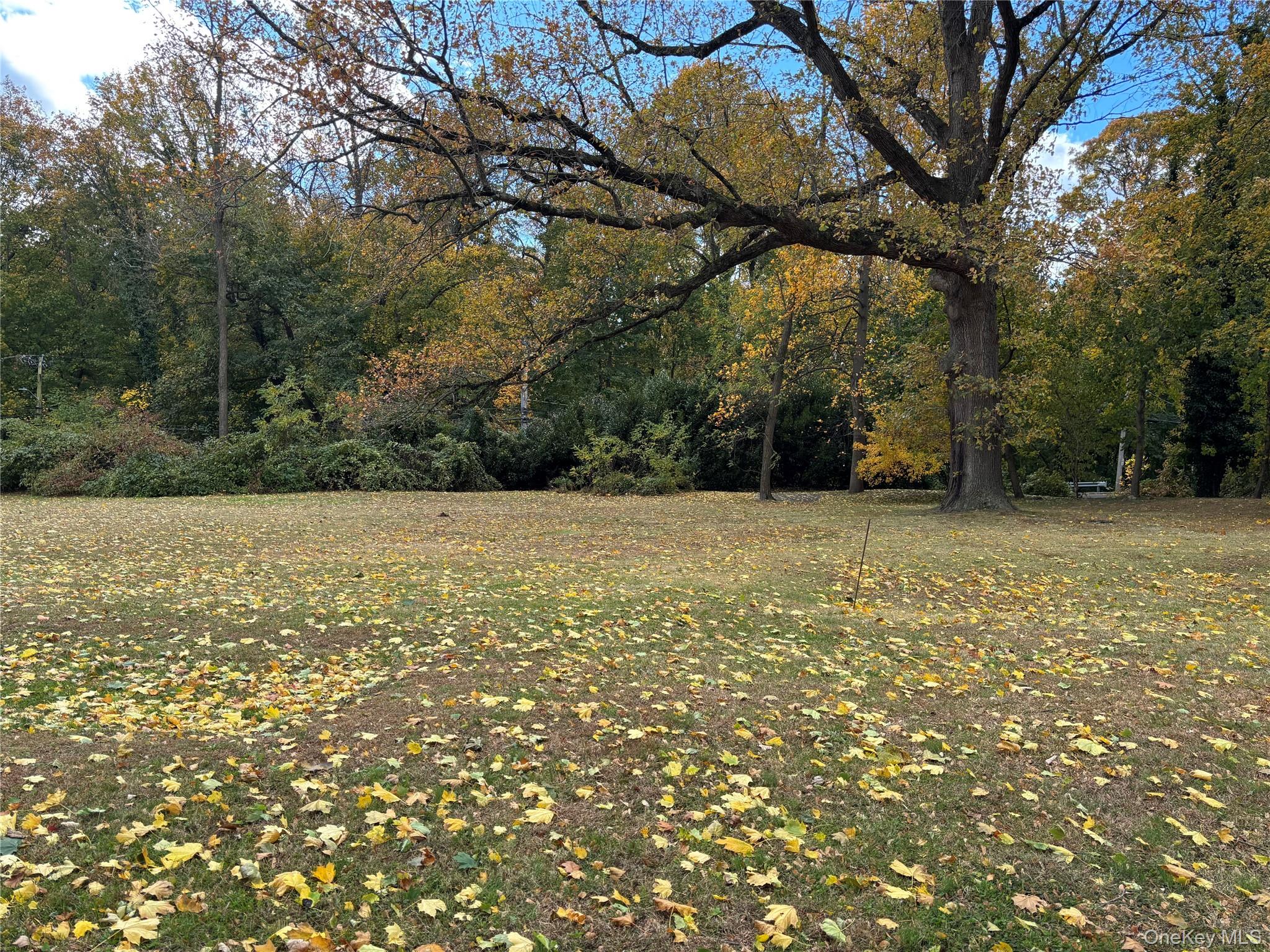 18 Lighthouse Road Kings Point, NY 11024 - Photo 2 of 5 a view of a field with an trees
