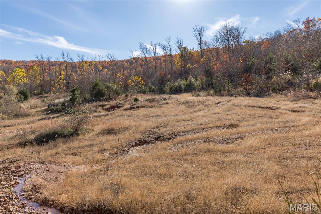 1502 Mo 21 Ironton, MO 63650 - Photo 2 of 33