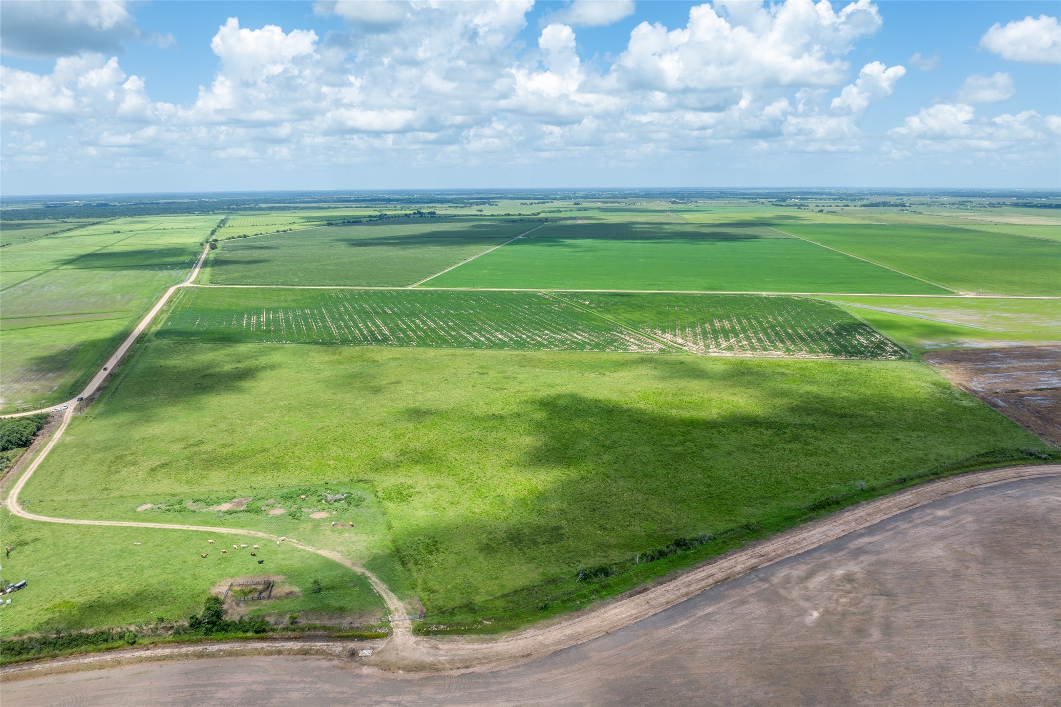 0 Cr 285 Lissie Tx 77454 East Bernard, TX 77435 - Photo 13 of 18 a view of a golf course with a big yard
