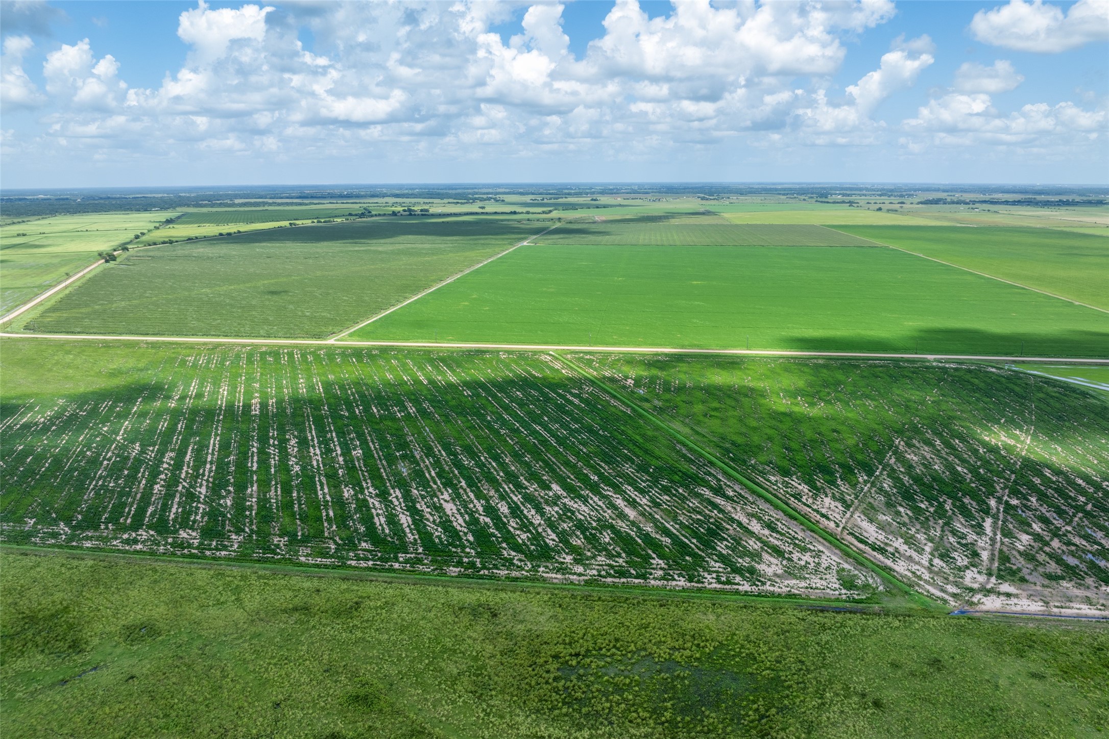 0 Cr 285 Lissie Tx 77454 East Bernard, TX 77435 - Photo 14 of 18 a view of a field of grass and grass