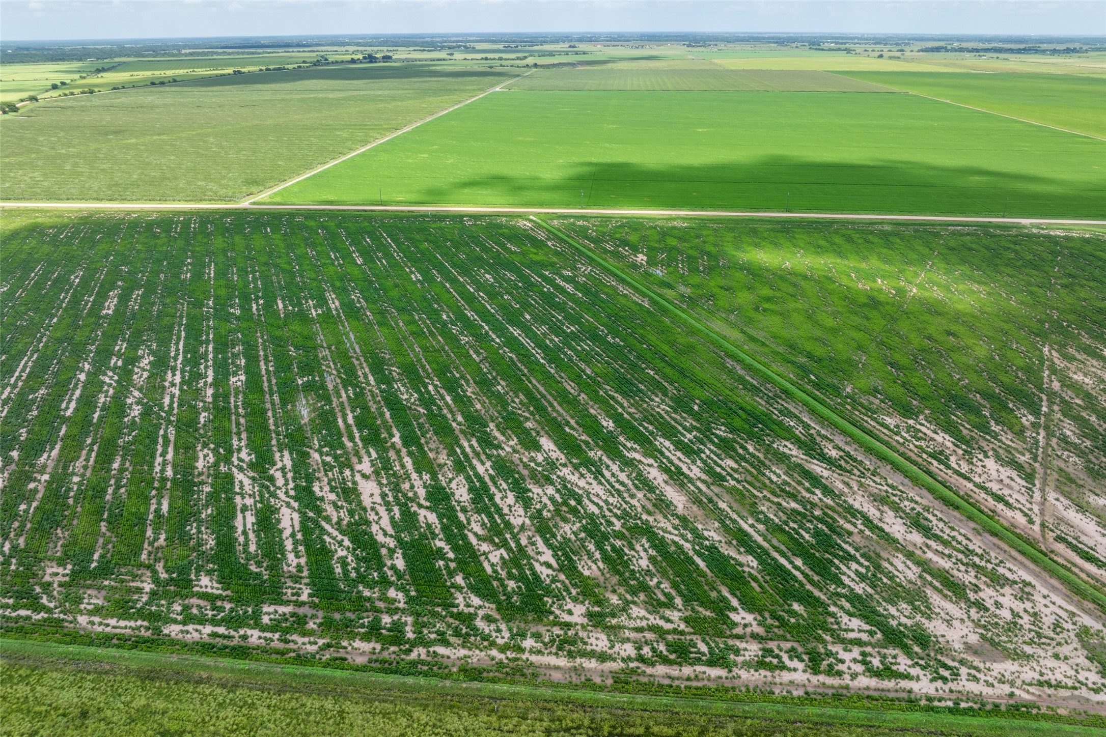 0 Cr 285 Lissie Tx 77454 East Bernard, TX 77435 - Photo 15 of 18 a view of a green field with lawn chairs