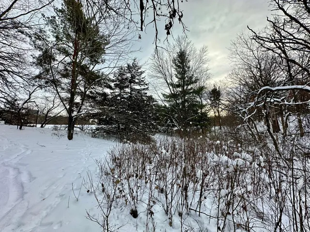 $125,000 | Tbd 162nd Street Northwest, Big Lake, MN 55309