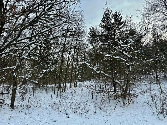 $125,000 | Tbd 162nd Street Northwest, Big Lake, MN 55309